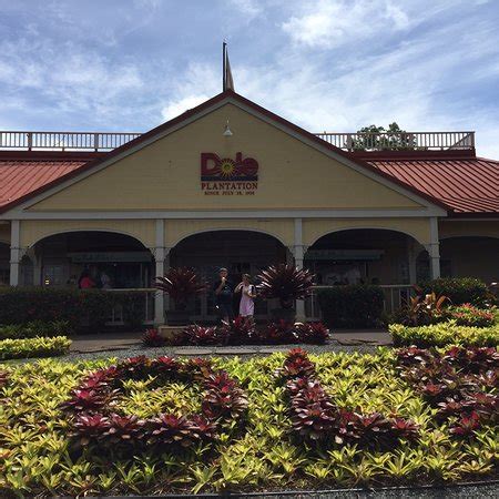 dole distribution centers.